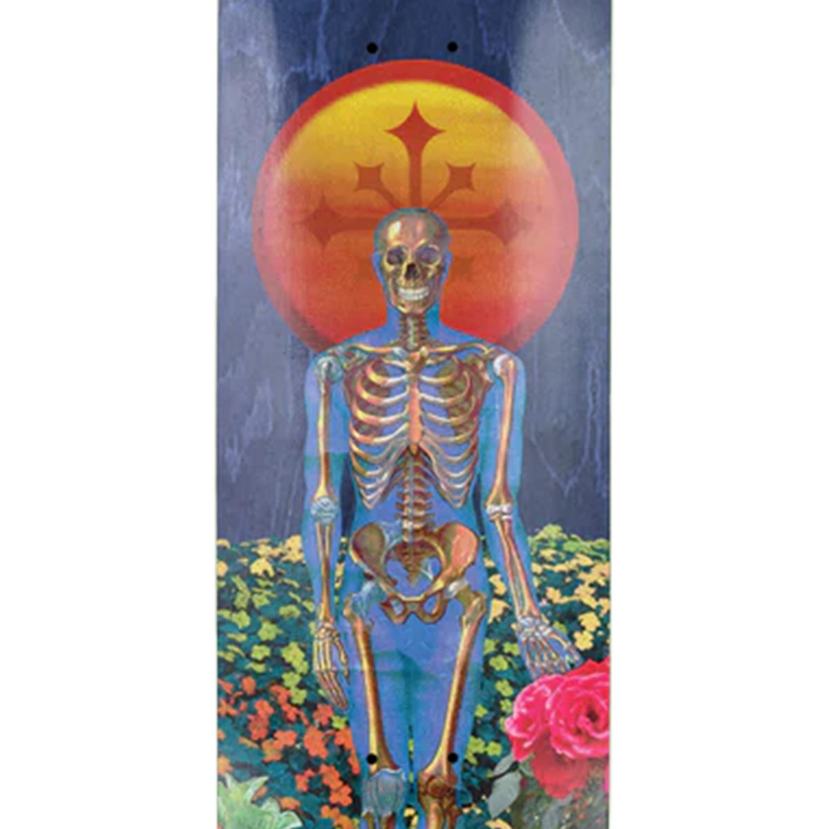 Disorder Nyjah Huston Garden Skateboard Deck 8.25