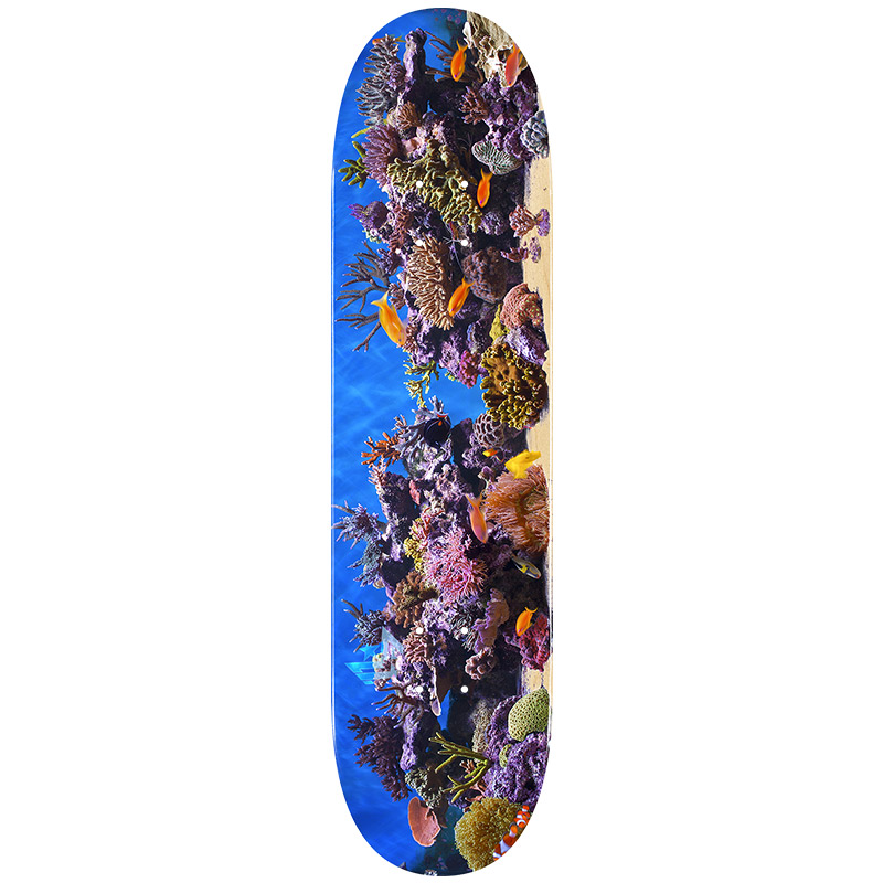 Mini Logo Fish Tank 18 Skateboard Deck Shape 242 8.0