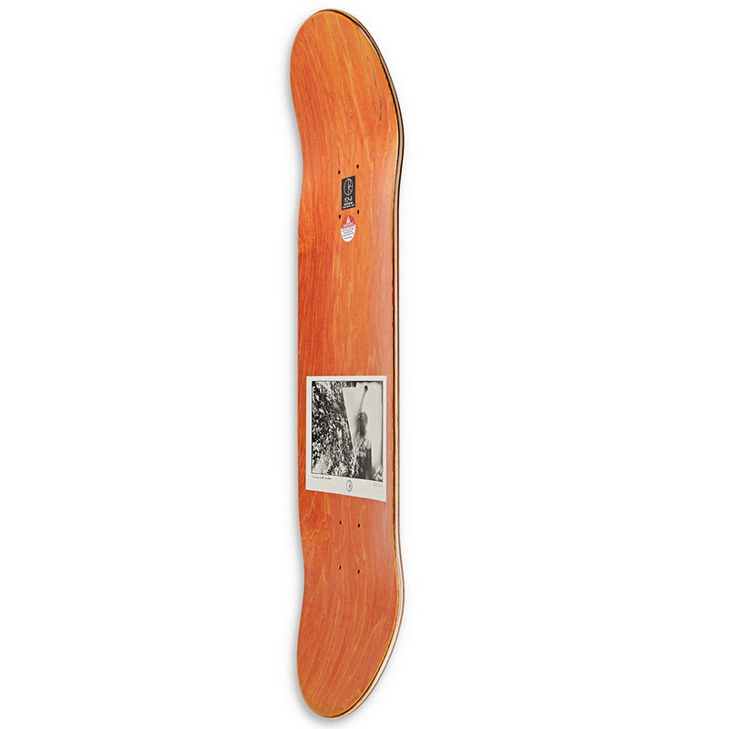 Polar Paul Grund Man With Window Slick 8.25