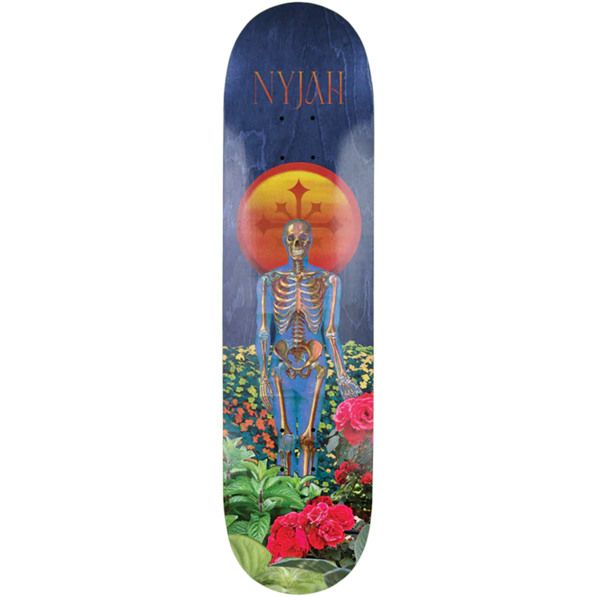 Disorder Nyjah Huston Garden Skateboard Deck 8.25