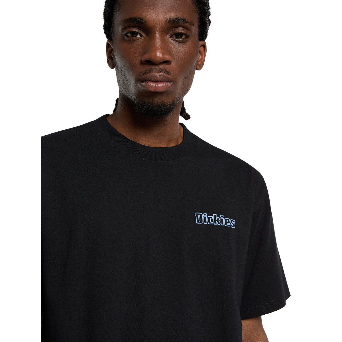 Dickies Fairlawn T-Shirt Black