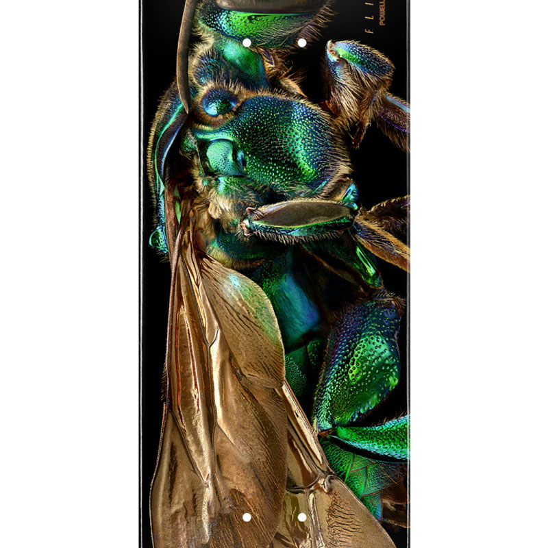 Powell Peralta Levon Biss Orchid Cuckoo Bee Flight Skateboard Deck Shape 242 8.0 Powell Peralta Levon Biss Orchid Cuckoo Bee Flight Skateboard Deck Shape 242 8.0