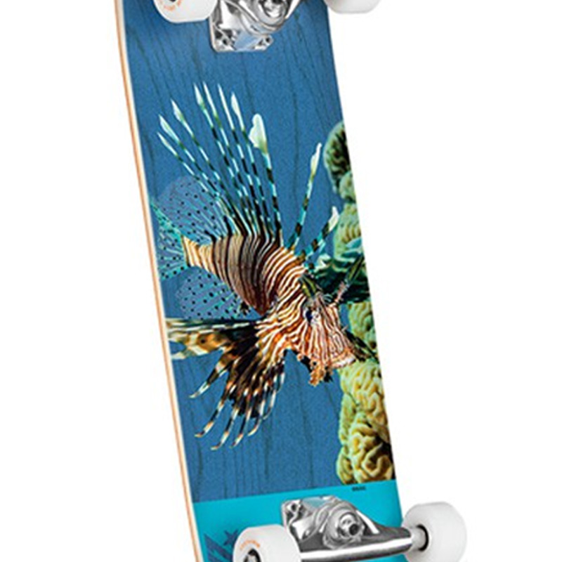 Mini Logo Poison Lion Fish 16 Birch Complete Skateboard Shape 291 7.75