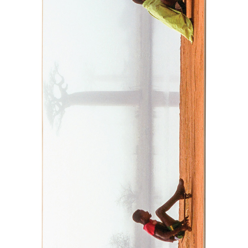 Enjoi Salad Days Of Skateboarding R7 Skateboard Deck 8.25