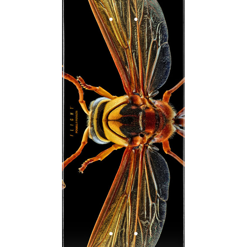 Powell Peralta Levon Biss Potter Wasp Skateboard Deck Shape 247 8.0 Powell Peralta Levon Biss Potter Wasp Skateboard Deck Shape 247 8.0