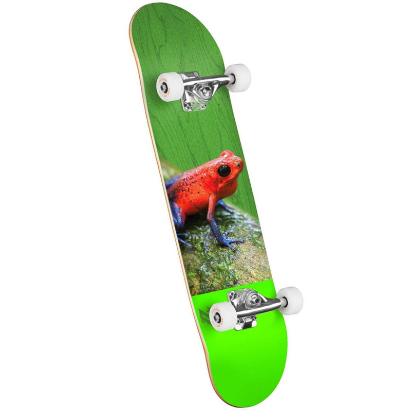 Mini Logo Poison Tree Frog 16 Birch Complete Skateboard Shape 242 8.0 Mini Logo Poison Tree Frog 16 Birch Complete Skateboard Shape 242 8.0