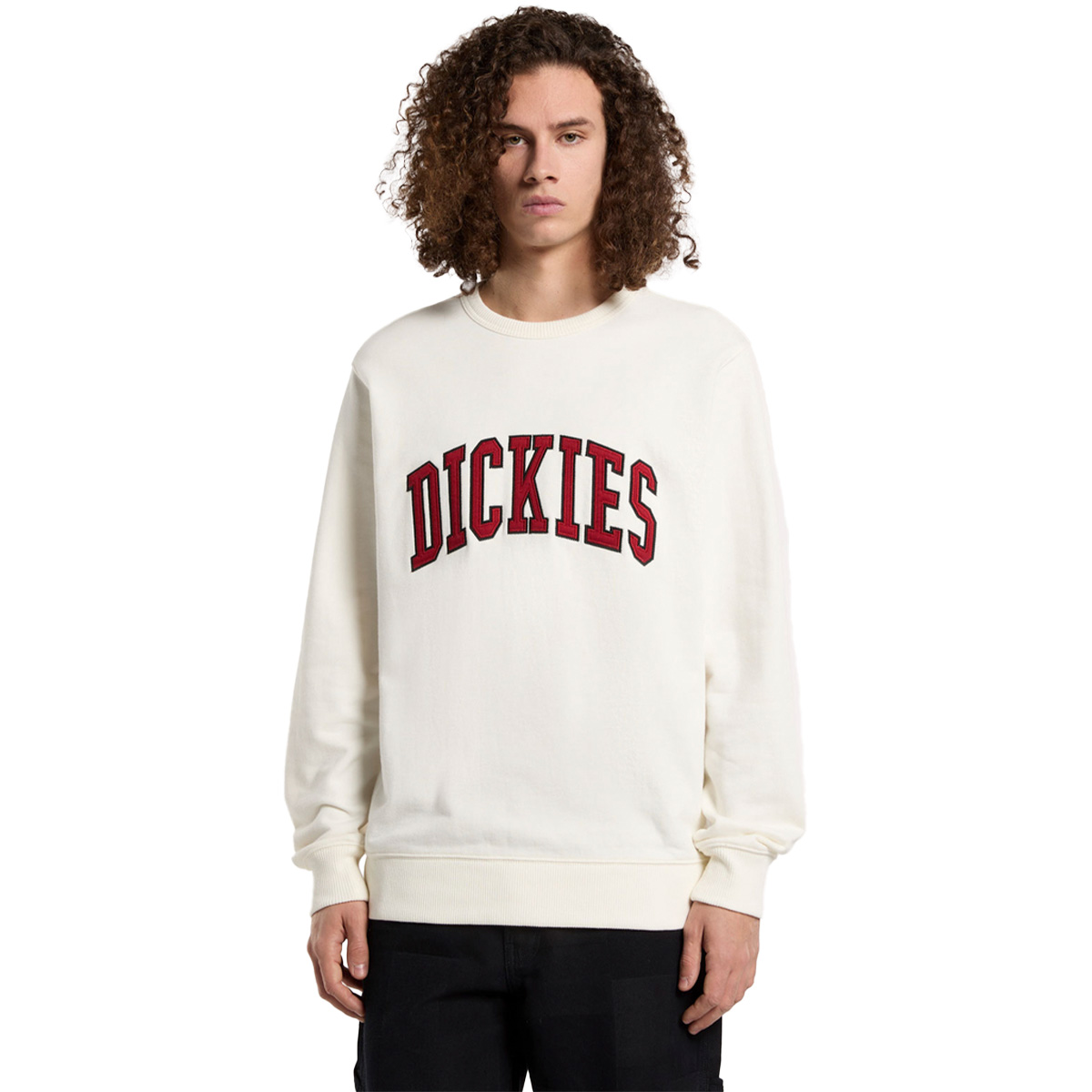 Dickies Aitkin Sweatshirt Egret Dickies Aitkin Sweatshirt Egret