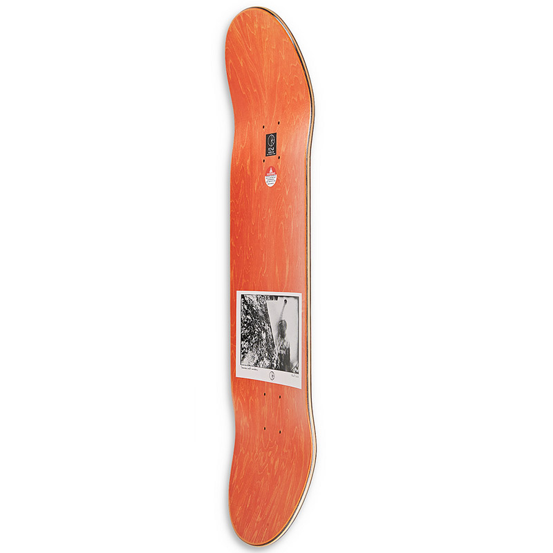 Polar Paul Grund Man With Window Skateboard Deck 8.0