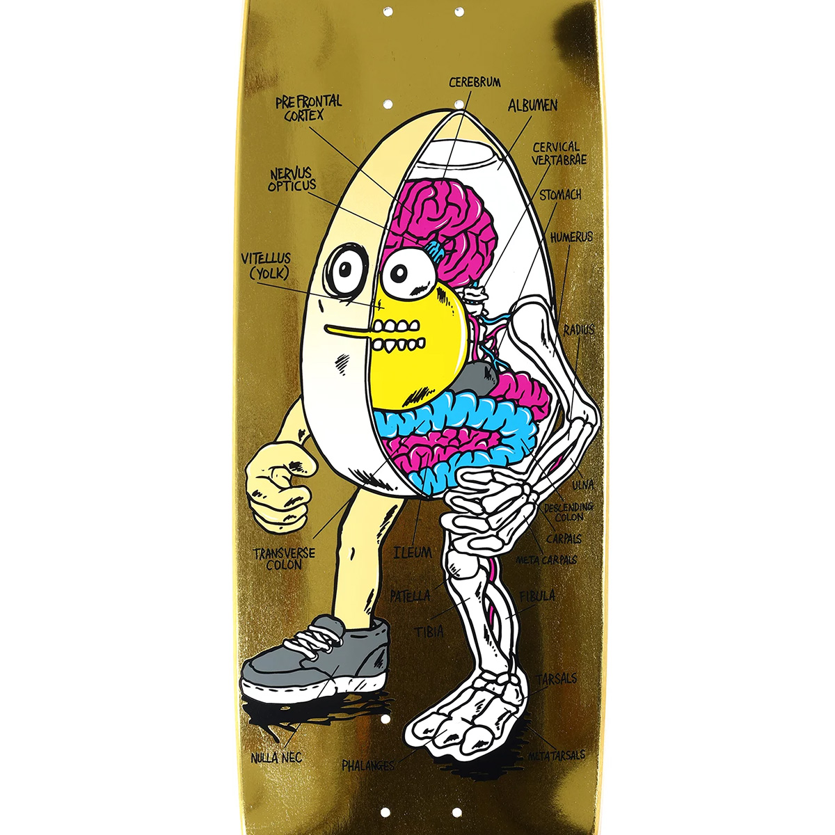Heroin Anatomy Egg Skateboard Deck Gold 8.75 Heroin Anatomy Egg Skateboard Deck Gold 8.75