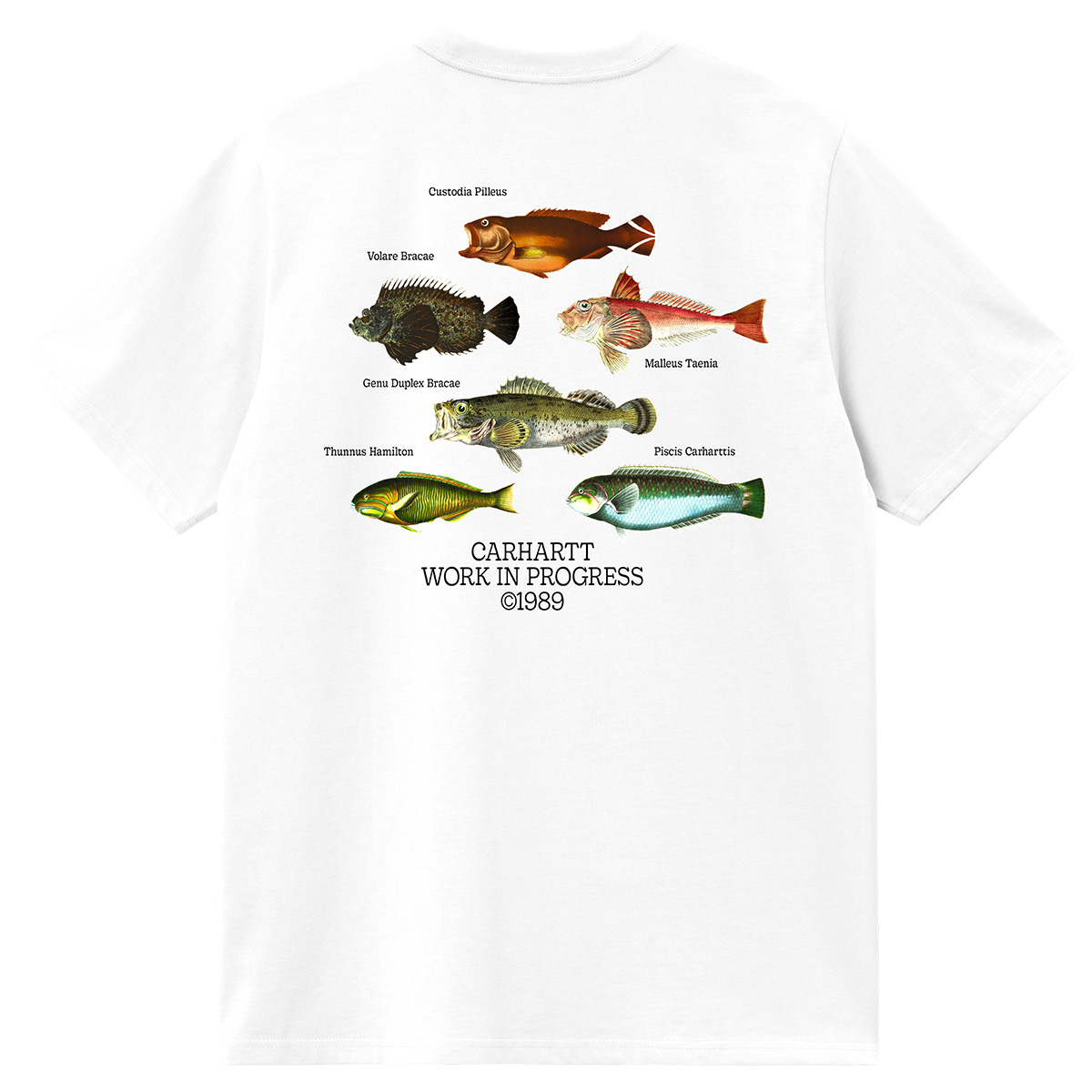 Carhartt WIP Fish T-Shirt White