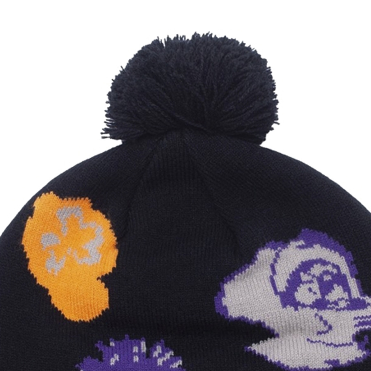 Fucking Awesome Botanical Ball Beanie Black