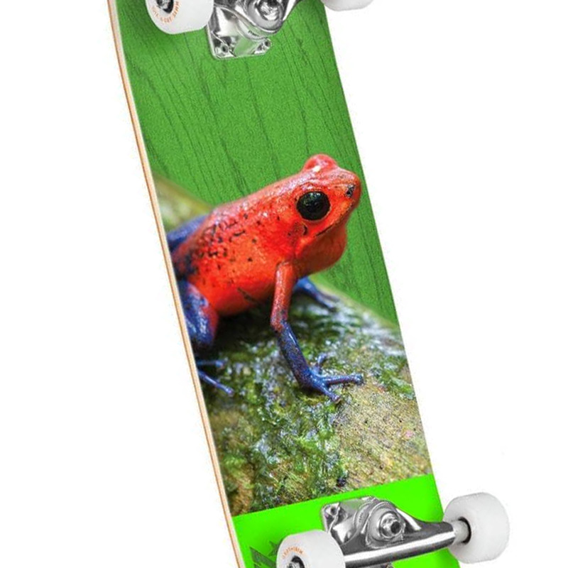 Mini Logo Poison Tree Frog 16 Birch Complete Skateboard Shape 242 8.0 Mini Logo Poison Tree Frog 16 Birch Complete Skateboard Shape 242 8.0