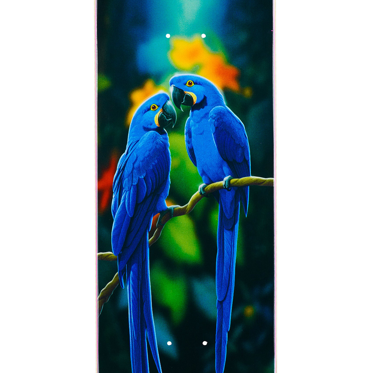 April Rayssa Leal Blue Macaw Skateboard Deck 8.25