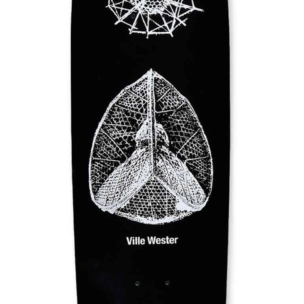 Polar Ville Wester Structural Order Skateboard Deck 9.0