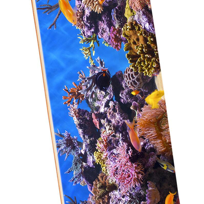 Mini Logo Fish Tank 18 Complete Skateboard Shape 291 7.75