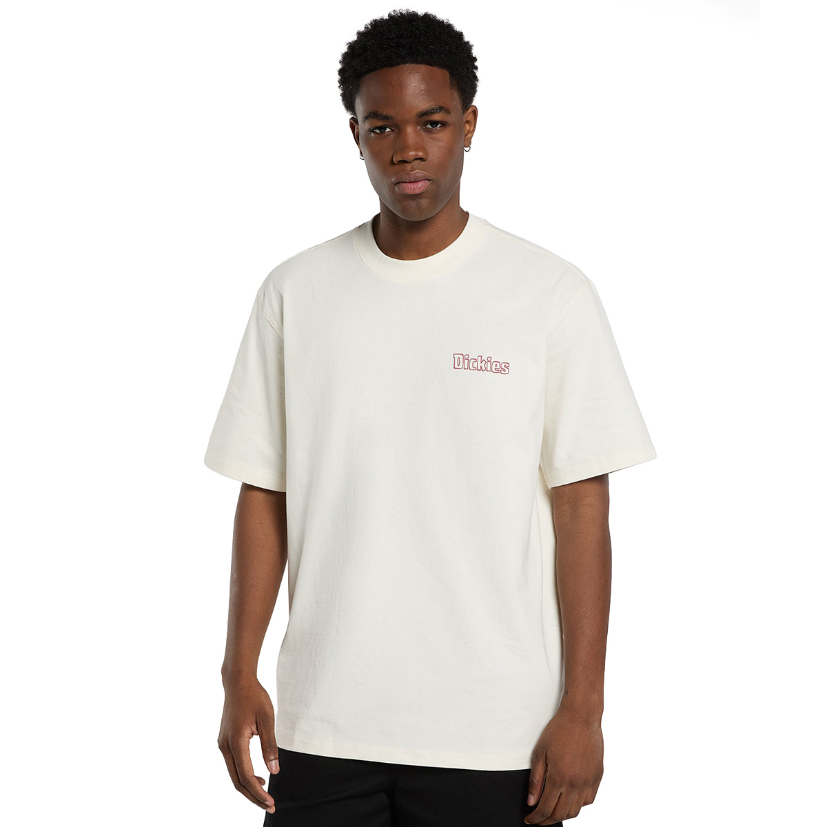 Dickies Fairlawn T-Shirt Egret