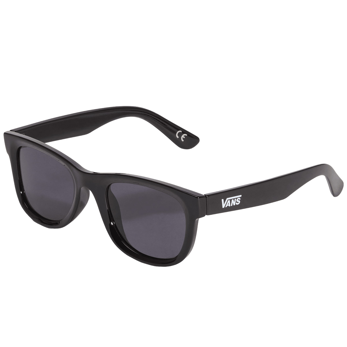 Vans Spicoli Sunglasses Black
