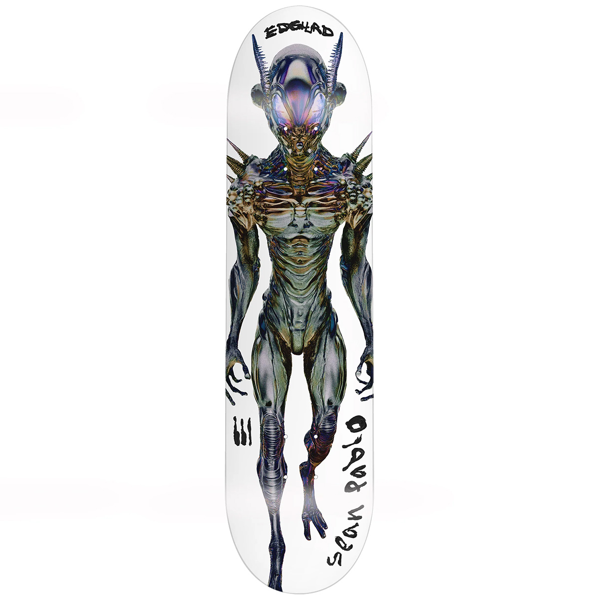 EDGLRD Flexrx Sean Pablo Skateboard Deck 8.25