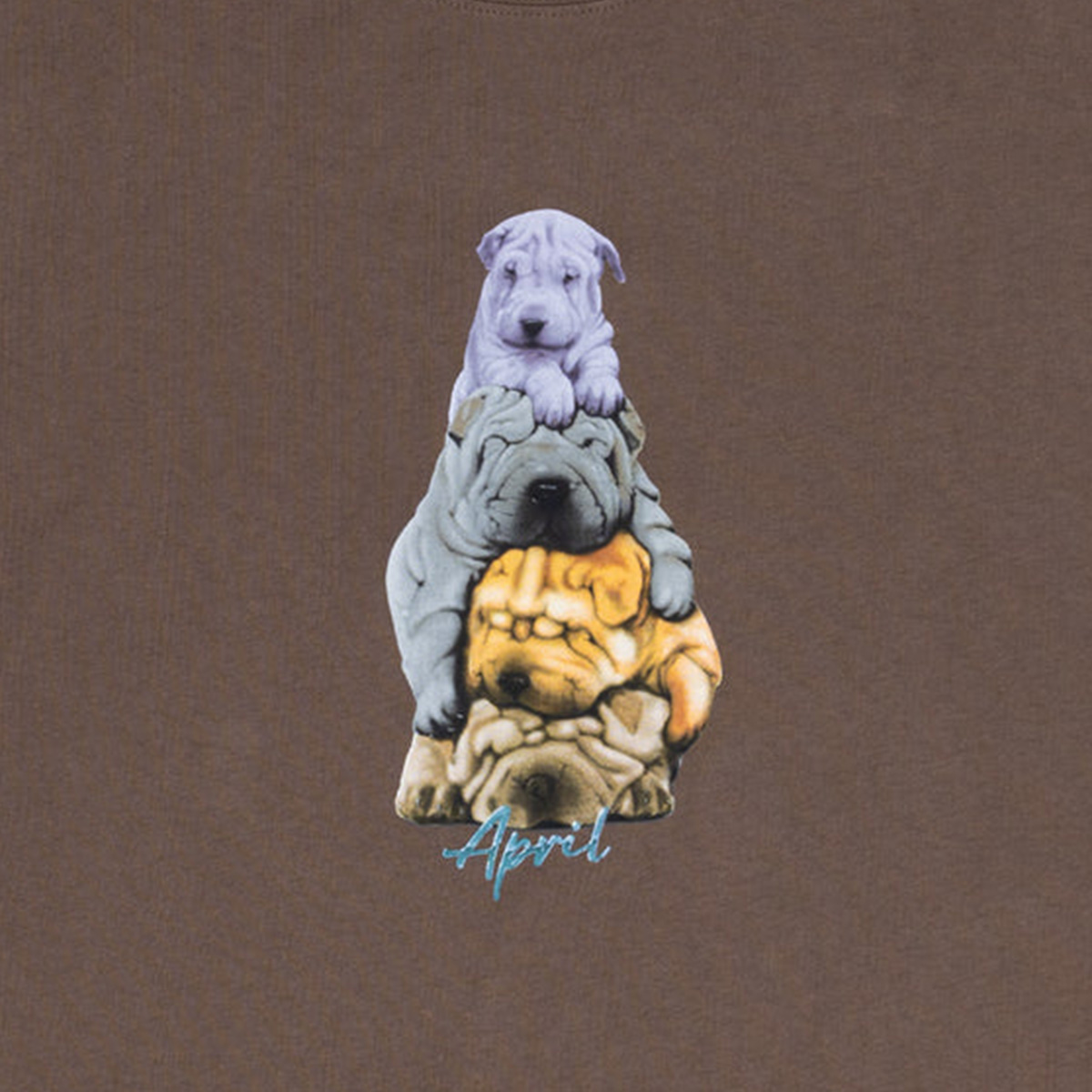 April The Dogs T-shirt Washed Brown April The Dogs T-shirt Washed Brown