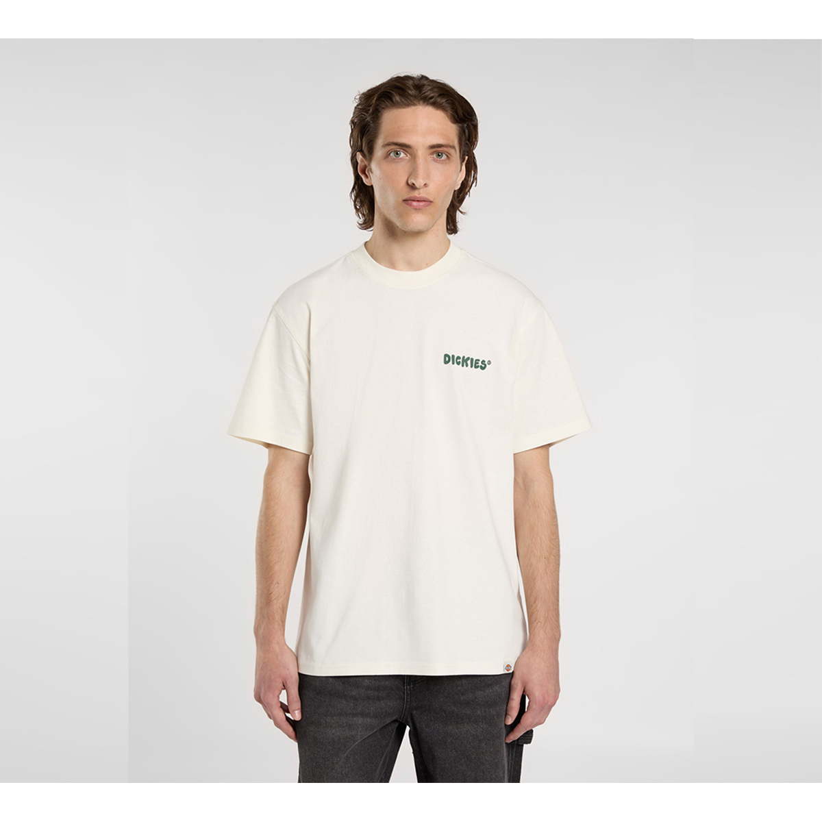 Dickies Gordonsville T-Shirt Egret Dickies Gordonsville T-Shirt Egret