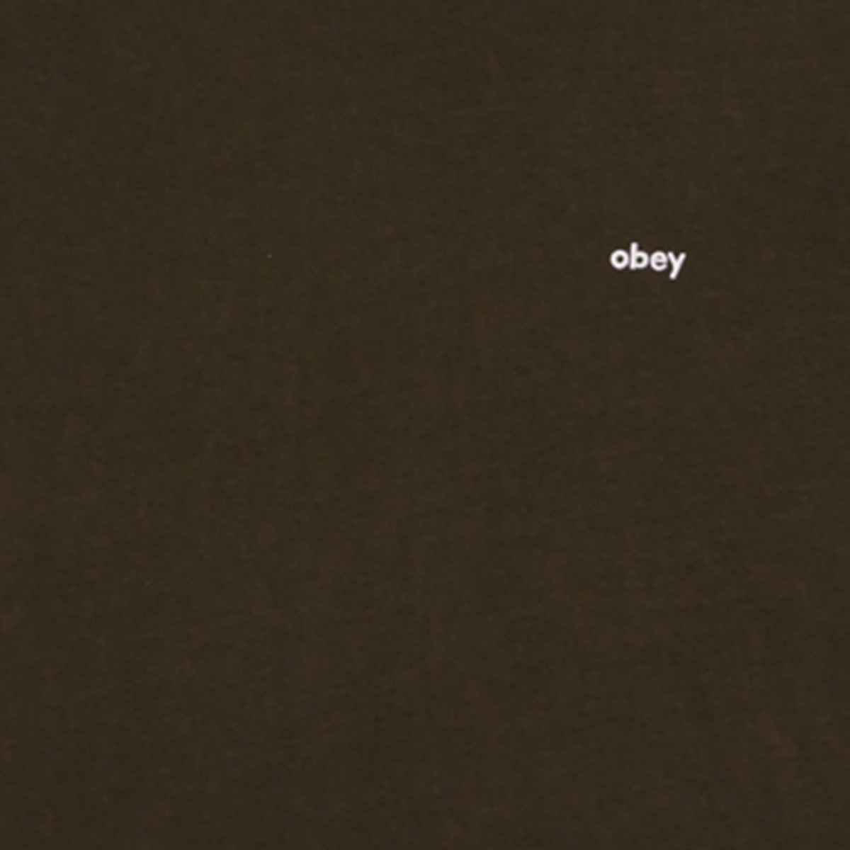 Obey Lowercase Pigment T-Shirt Pigment Pigment Rosin