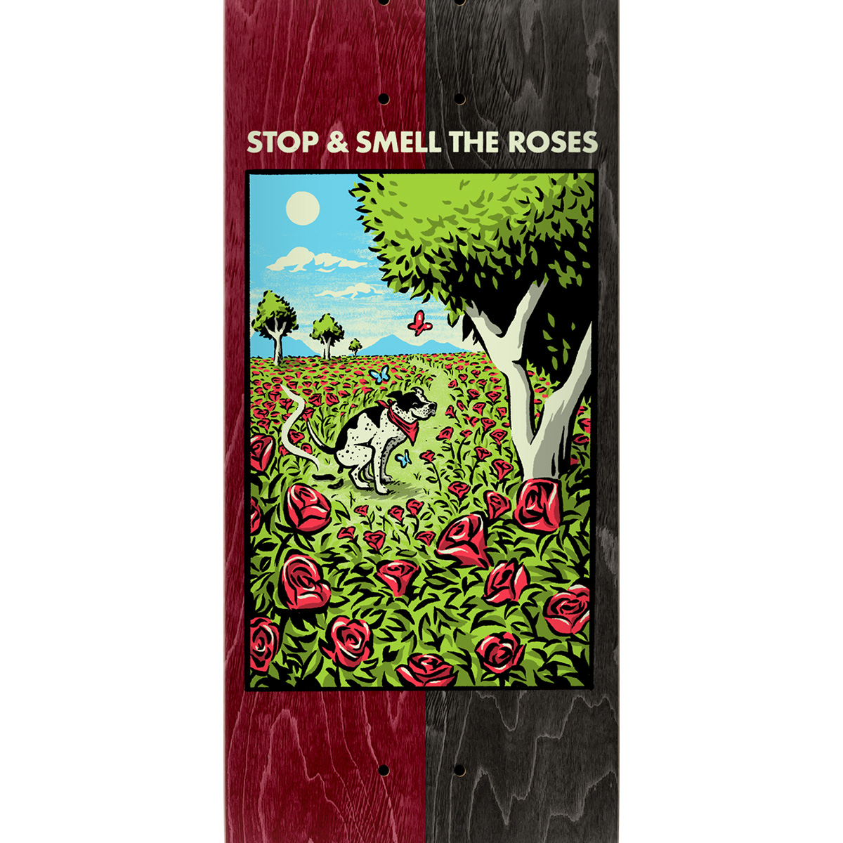 Real Ishod Bright Side Skateboard Deck 8.38 Real Ishod Bright Side Skateboard Deck 8.38