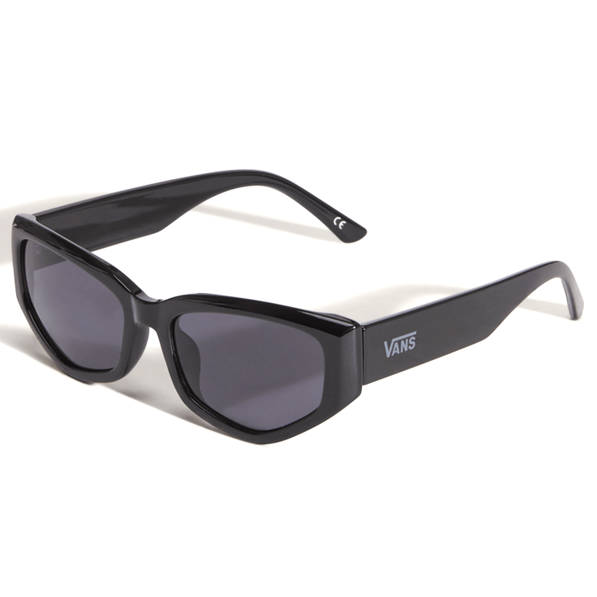 Vans Leyden Sunglasses Black