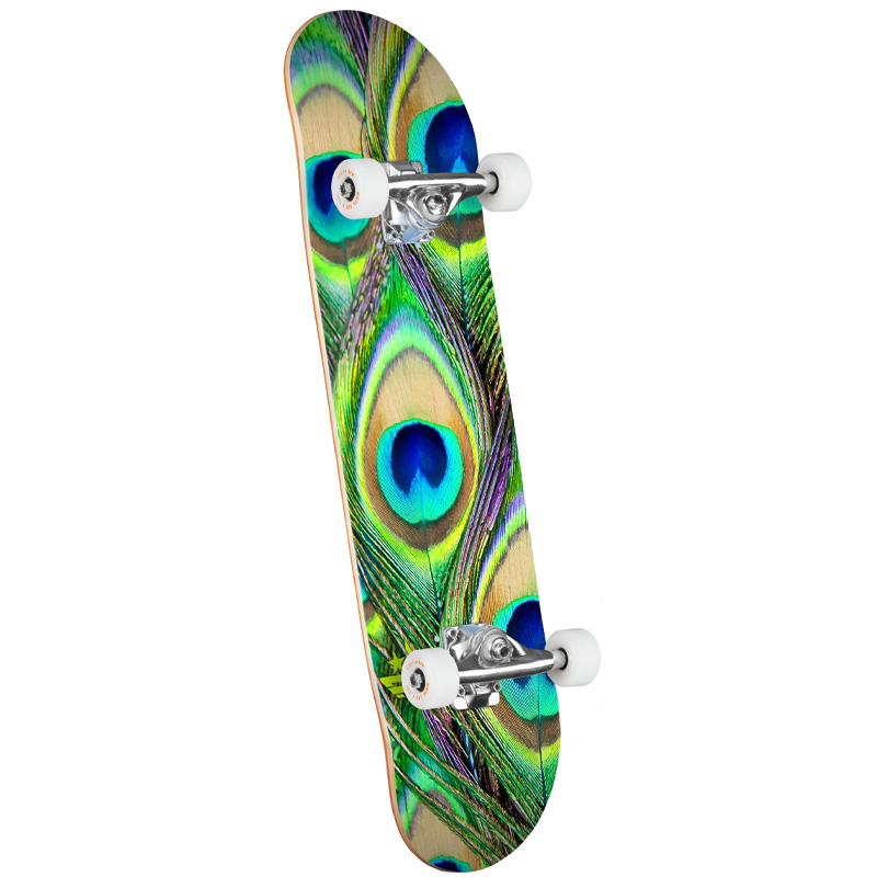 Mini Logo Peacock Feather 18 Complete Skateboard Shape 243 8.25