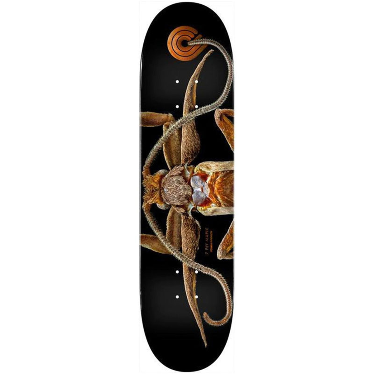 スケートボード Powell Peralta Biss Marion Moth Flight Powell Peralta Levon Biss Marion Flightless Moth F | Skatestore