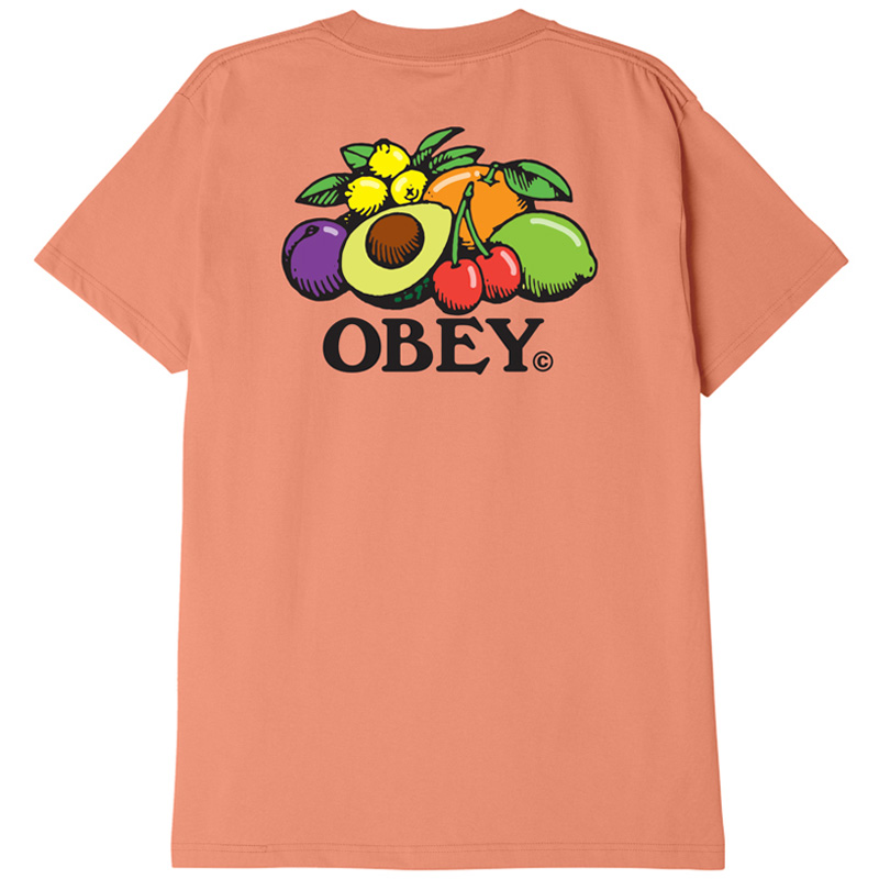 Obey Bowl Of Fruit T-Shirt Citrus