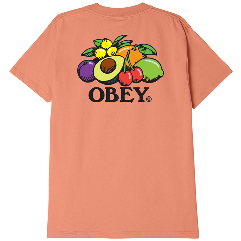 Obey Bowl Of Fruit T-Shirt Citrus Obey Bowl Of Fruit T-Shirt Citrus