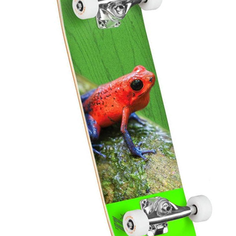 Mini Logo Poison Tree Frog 16 Birch Complete Skateboard Shape 291 7.75 Mini Logo Poison Tree Frog 16 Birch Complete Skateboard Shape 291 7.75