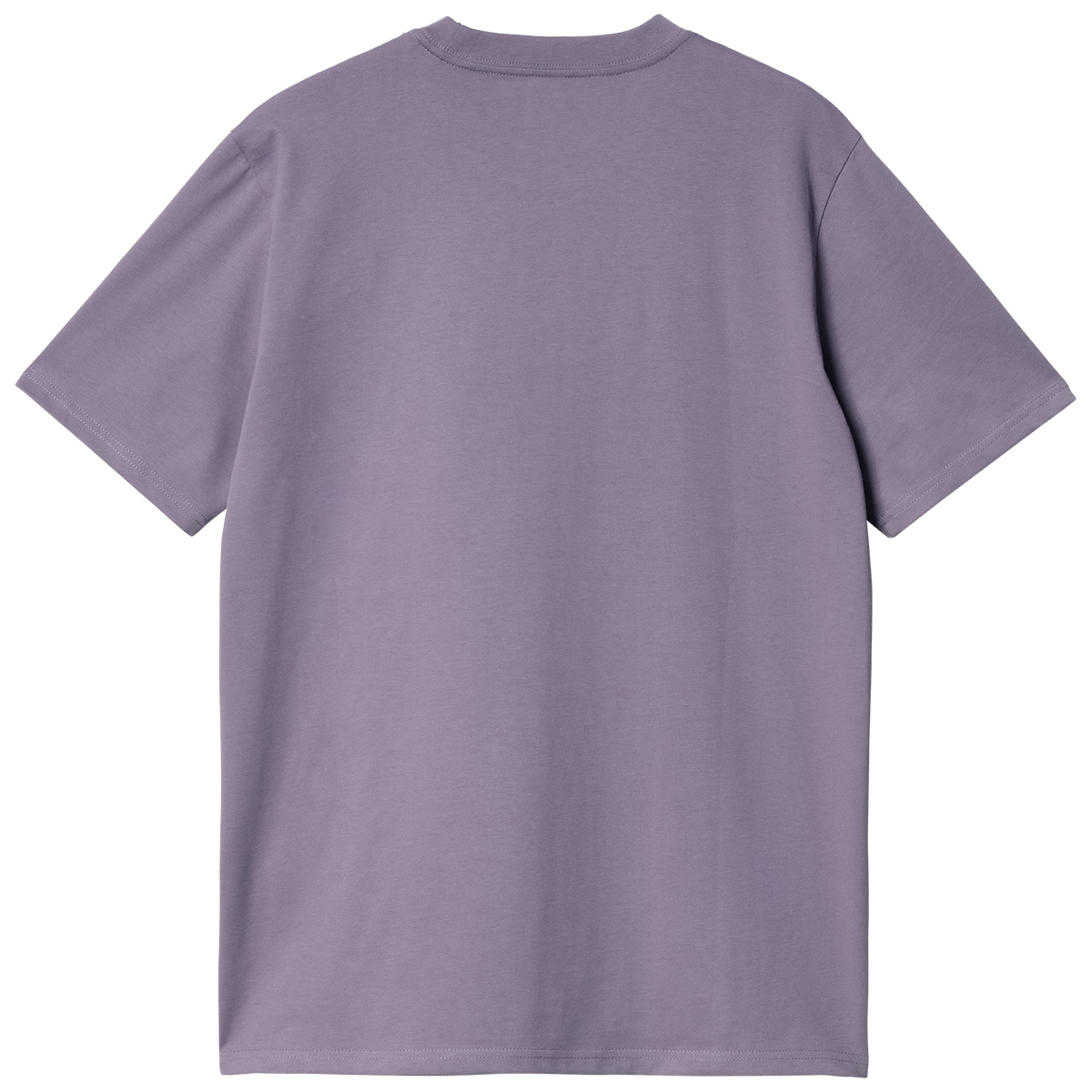 Carhartt WIP Script T-Shirt Glassy Purple/Discovery Green
