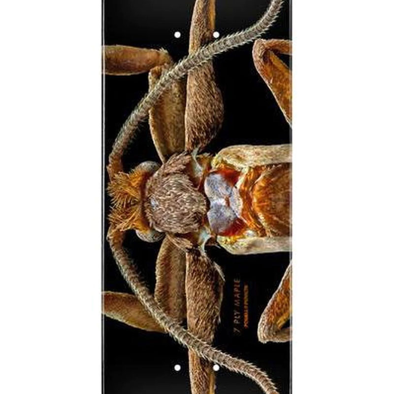Powell Peralta Levon Biss Marion Flightless Moth S | Skatestore