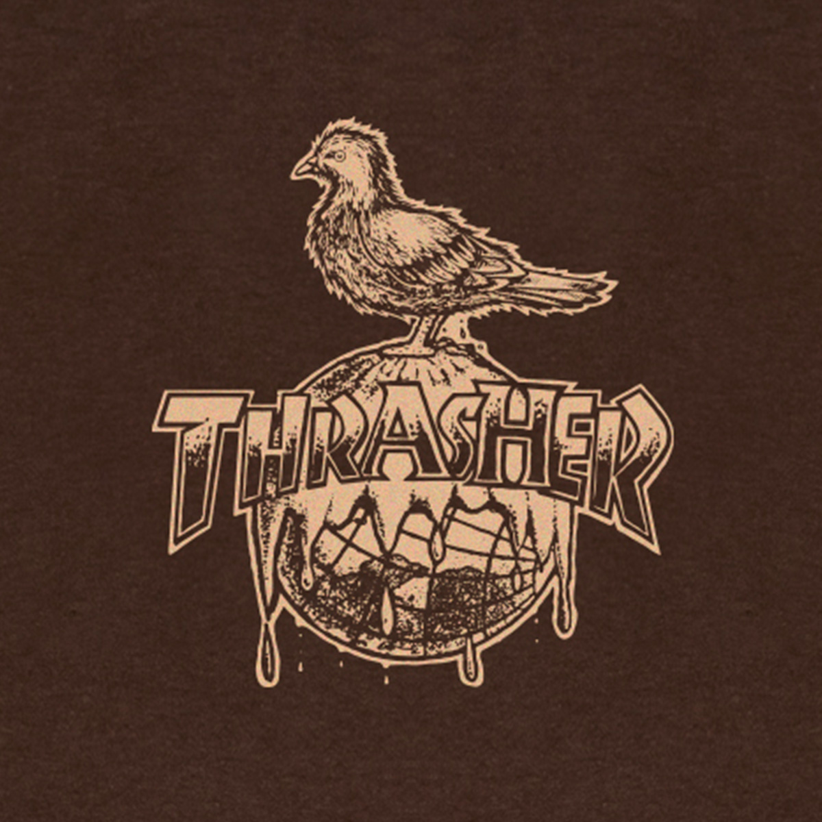 Thrasher X Anti Hero Cover The Earth T-Shirt Dark Chocolate Thrasher X Anti Hero Cover The Earth T-Shirt Dark Chocolate