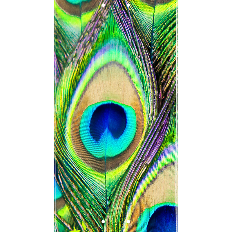 Mini Logo Peacock Feather 18 Skateboard Deck Shape 243 8.25