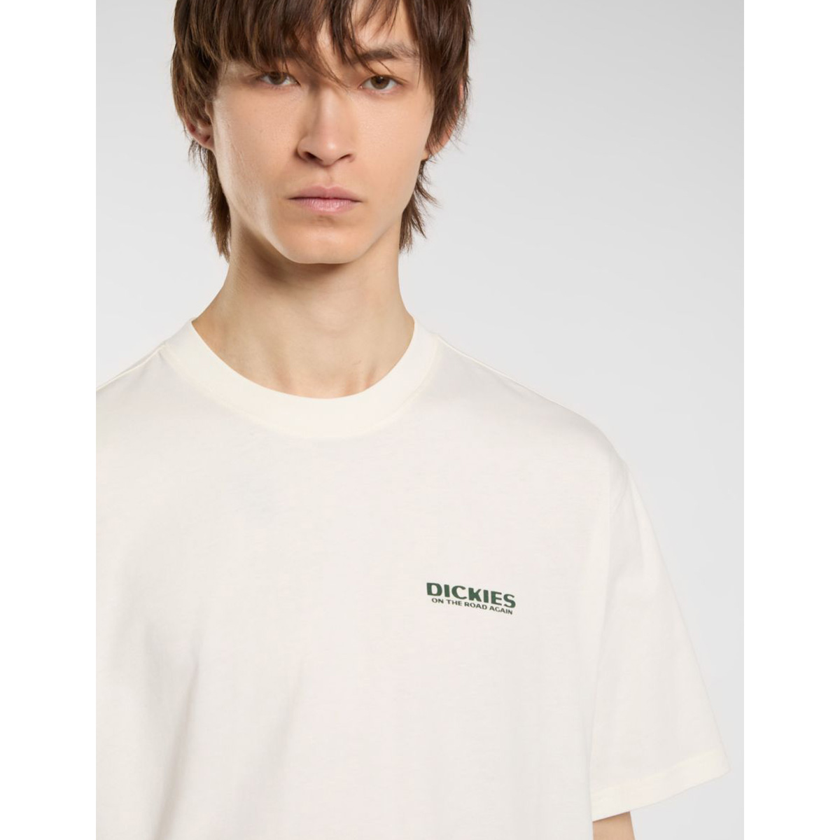 Dickies Burns T-Shirt Egret Dickies Burns T-Shirt Egret