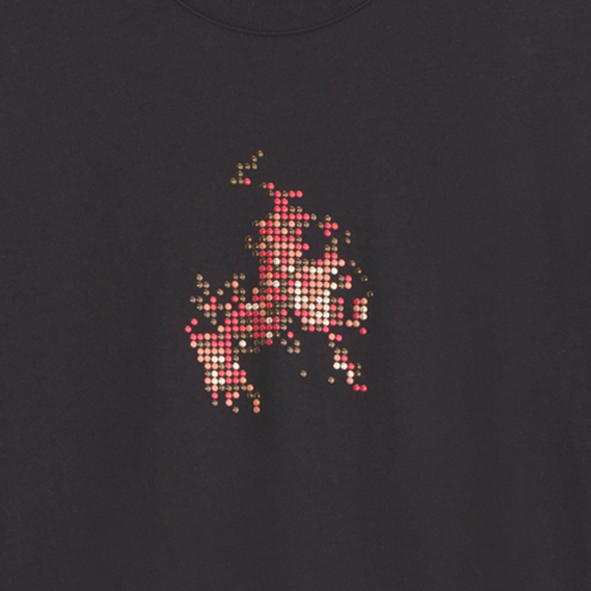 Vans Skate Flame T-Shirt Black
