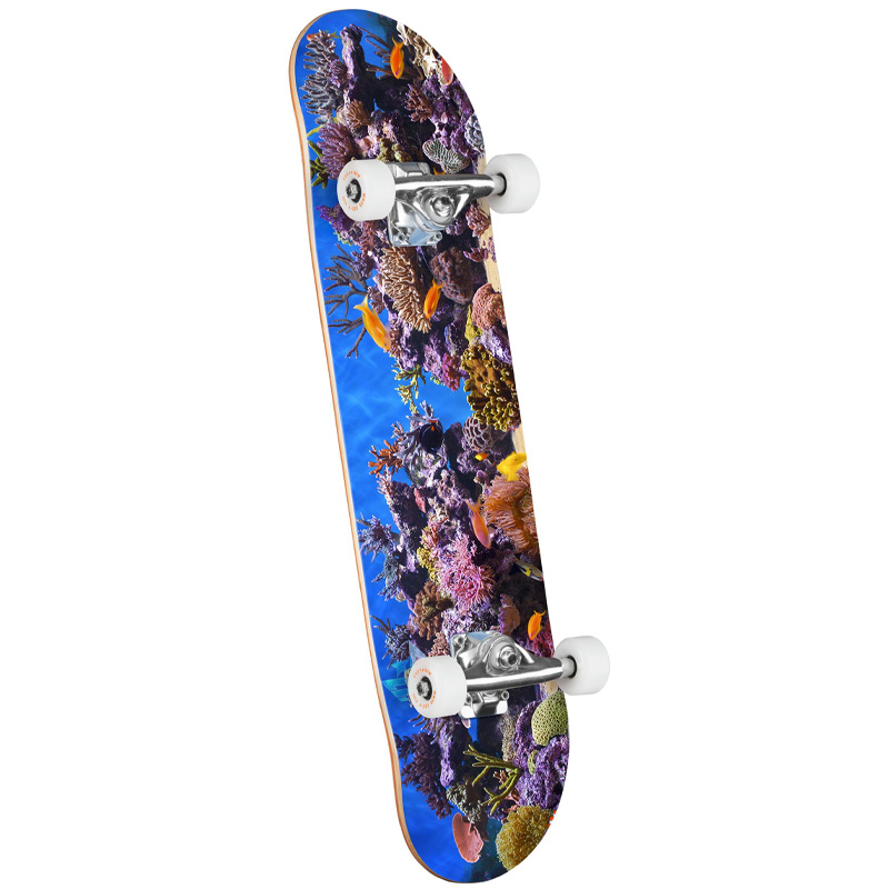 Mini Logo Fish Tank 18 Complete Skateboard Shape 191 7.5