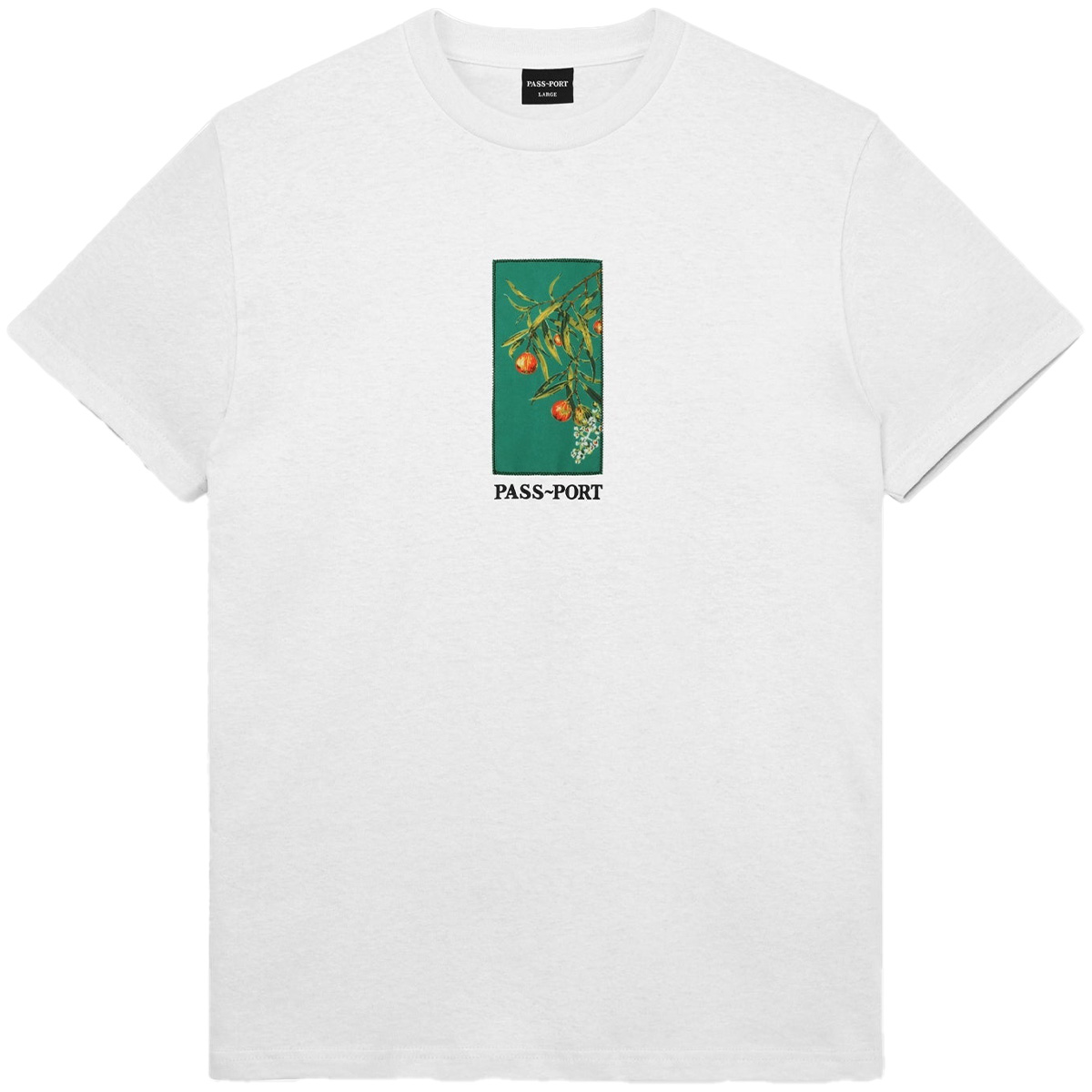 Pass Port Quandong T-Shirt White Pass Port Quandong T-Shirt White