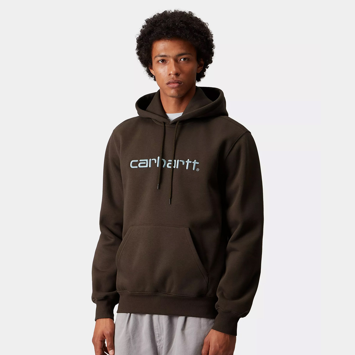 Carhartt WIP Carhartt Hooded Sweater Vitola/Citadel Carhartt WIP Carhartt Hooded Sweater Vitola/Citadel