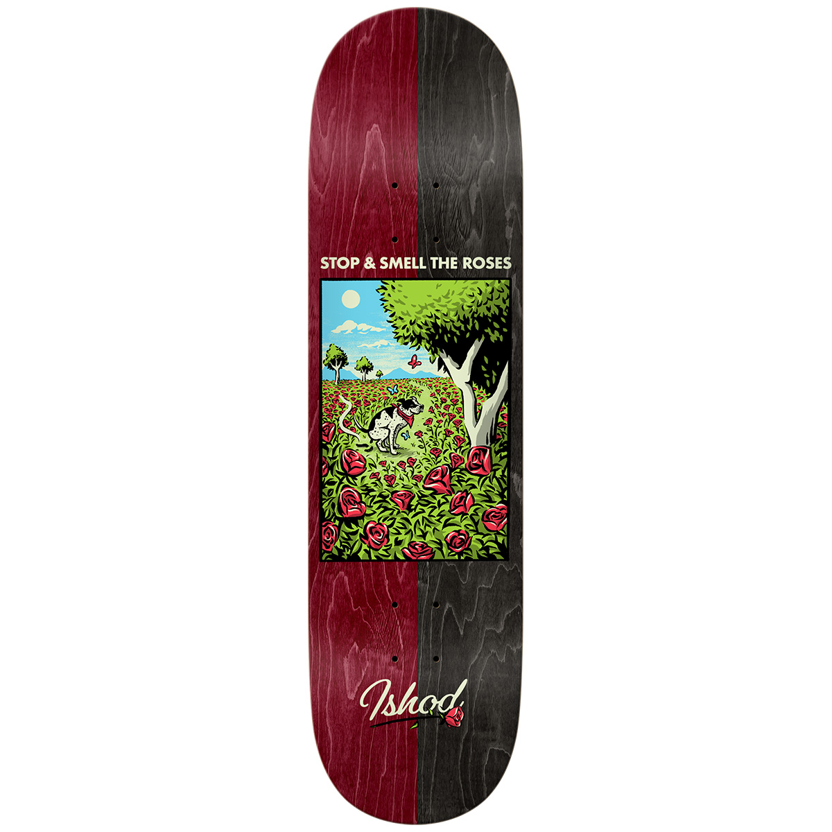 Real Ishod Bright Side Skateboard Deck 8.38 