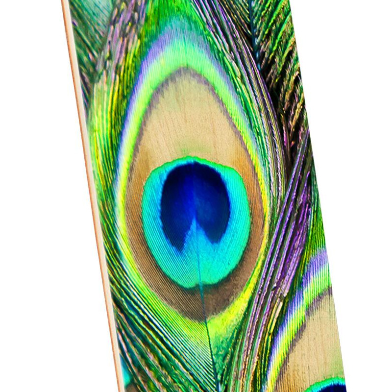 Mini Logo Peacock Feather 18 Complete Skateboard Shape 243 8.25