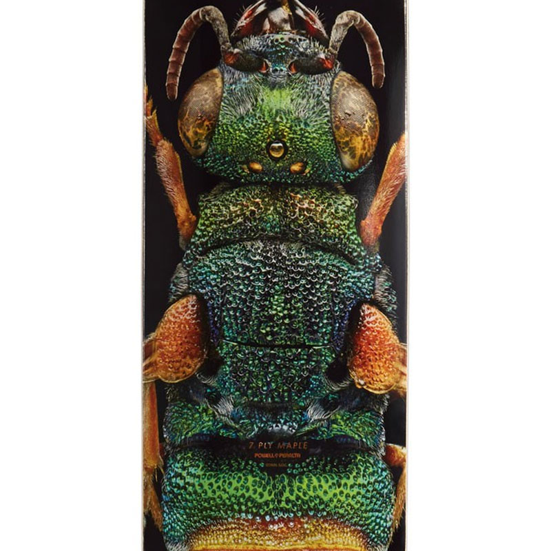 Powell Peralta Levon Biss Orchid Cuckoo Bee Skateboard Deck Shape 242 8.0